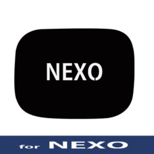 오토모듬 넥쏘 NEXO 3D 5D카본 악어스킨 주유구커버 데칼스티커