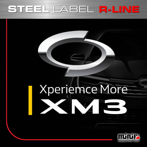 미니에프 MFSL134 - 2020 XM3 R-LINE LABEL/주차알림판